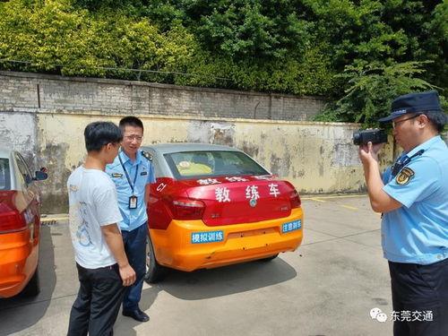 东莞市驾校爆料案件最新,真相揭露，行业乱象引关注  第1张